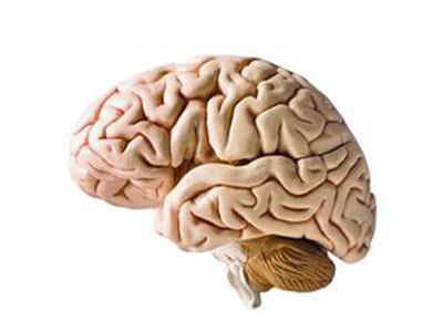 中風不是老年人的專利,哪些年輕人有危險?