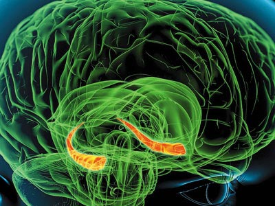 發生腦卒中 別錯過&ldquo;黃金6小時&rdquo;
