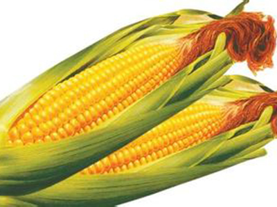 預防動脈硬化&mdash;&mdash;我教你