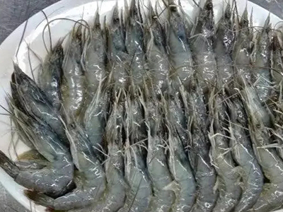 血脂高的人要常吃海鮮!海鮮是血脂高的福利!