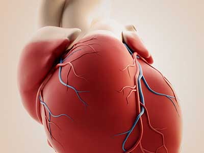 　冠心病是&ldquo;選&rdquo;氣候的病