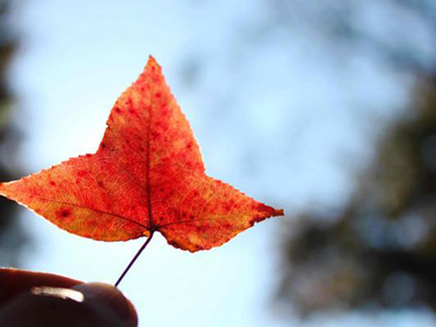 氣溫下降引發心腦血管病&ldquo;抬頭&rdquo;