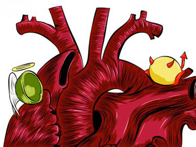 &ldquo;壞膽固醇&rdquo;成國人死亡首因 女性高膽固醇偏愛更年期