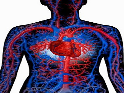 心和肺是&ldquo;好拍檔&rdquo;！