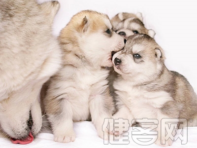 血管裡的&ldquo;清道夫&rdquo;