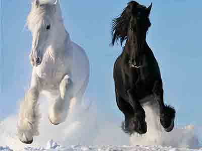 預防高血壓的方法是什麼