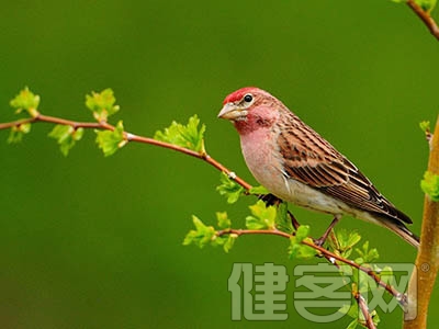 心髒病人勿把嗎丁啉當作&ldquo;救星&rdquo;