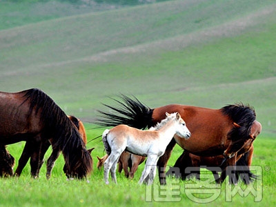 九成半先心病可治愈 手術&ldquo;封堵&rdquo;先心病