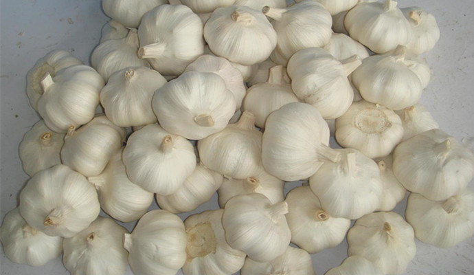 &ldquo;大蒜&rdquo;真的可以預防冠心病！