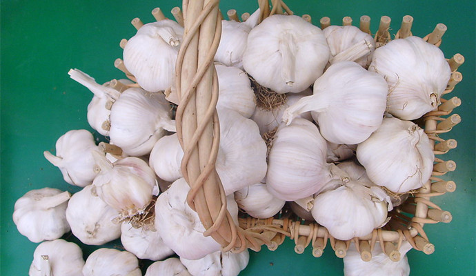 冠心病患者可以吃的飲食有哪些？