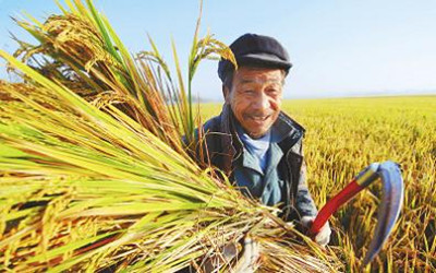 老人易患&ldquo;心絞痛&rdquo;的原因？