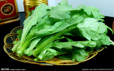 &ldquo;心髒病&rdquo;應該吃什麼健康的食物？