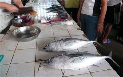 有利心髒&lsquo;大掃除&rsquo;的10種食物