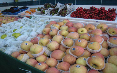 喝咖啡傷心血管！健客醫師開出十大養生處方