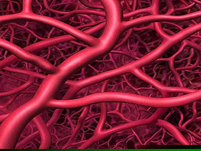 治療動脈硬化的藥物