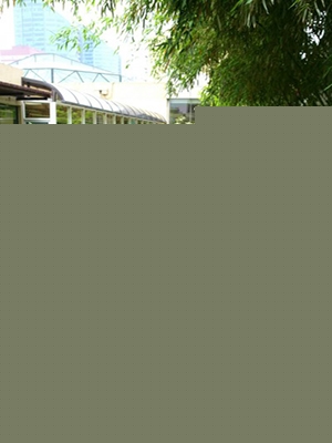 心動過緩可藥物治療嗎