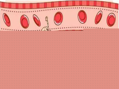 《中國心血管病報告2015》出爐 &ldquo;早死&rdquo;現象亟需重視