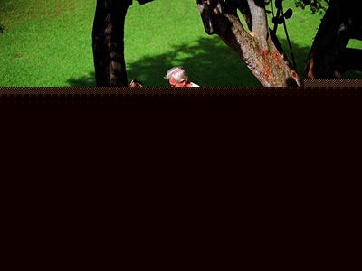 高血壓老人散步注意事項有哪些