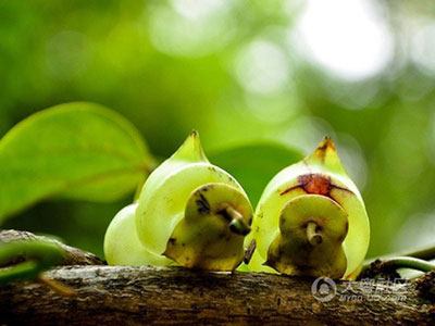 容易疲勞要警惕是心髒病發出的&ldquo;信號&rdquo;