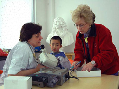 愛打瞌睡,容易得心髒病