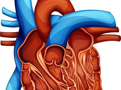 【心腦保健】&ldquo;致命&rdquo;睡眠