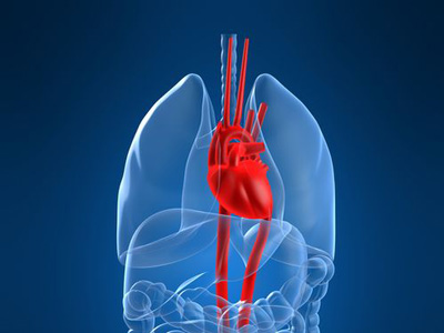 微信傳&ldquo;心梗10秒自救法&rdquo;醫生：或增加風險