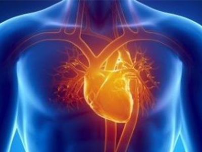 心和腎如何成為&ldquo;難兄難弟&rdquo;？