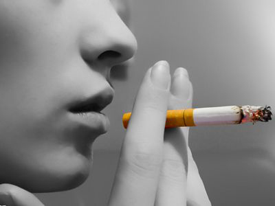 動脈硬化要從兒童開始防 把硬化的血管吃回來!