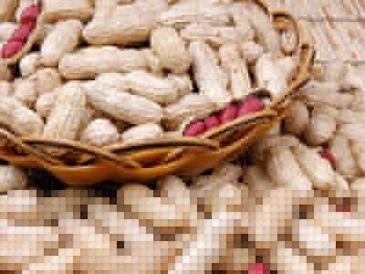 　最近血脂有點高，飲食上我要怎麼選擇？