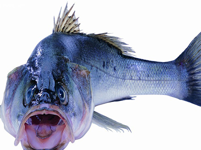 預防心腦血管疾病的&ldquo;四多&rdquo;飲食原則