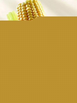 10種有利於心髒病人的食物