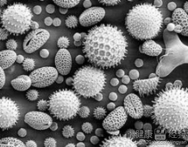 青年高血壓的原因