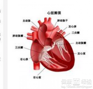風濕性心髒病二尖瓣狹窄一定要手術嗎