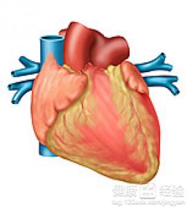 怎麼治療心絞痛