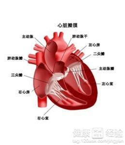 T波低平左胸膛成天隱隱痛這是心絞痛嗎