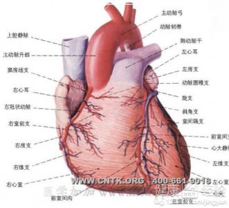 心肌梗塞會引起心絞痛和左臂疼嗎