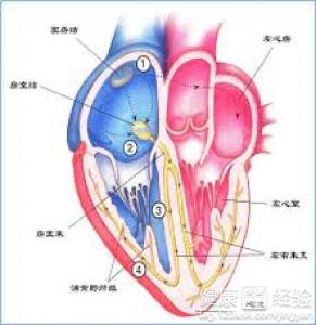 窦性心動過緩怎麼防止並發症的發生？