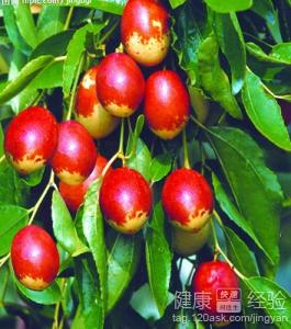 下肢靜脈血栓已久能治好嗎