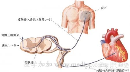 心血管病人吃什麼好
