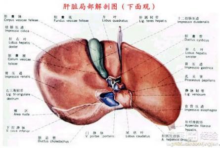 心虛脾虛心悸中醫怎麼調理