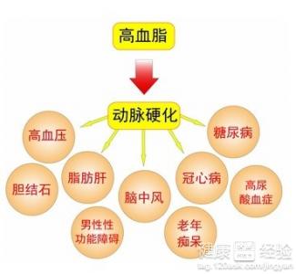 高血脂的原因及治療