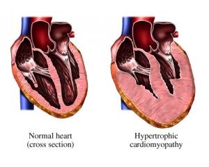 點擊查看源網頁