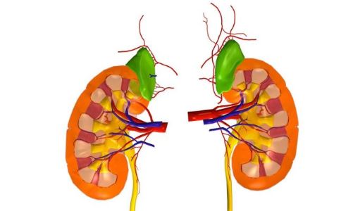 高血壓如何預防腎病 高血壓腎病 高血壓 腎功能 高血壓腎病保健 尿毒症