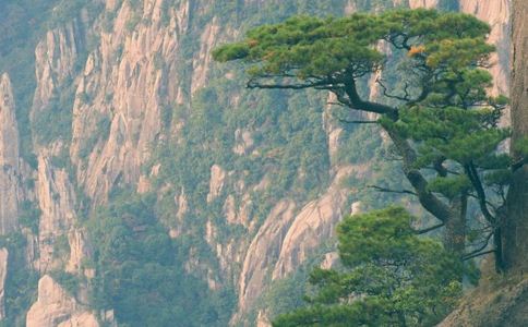 低血壓 腦梗塞照發! 低血壓 腦梗塞 血栓 血壓 心血管