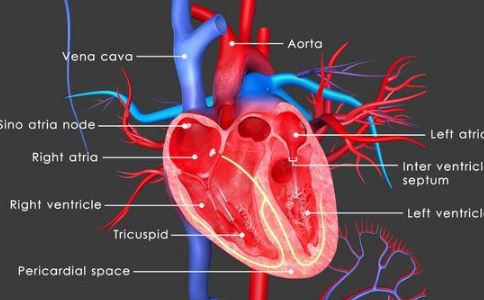 如何降低低密度脂蛋白膽固醇? 低密度脂蛋白 膽固醇 降低 標准 指標