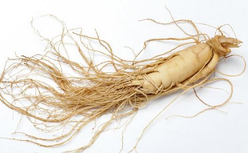 人參 過量人參 人參中毒 心律失常